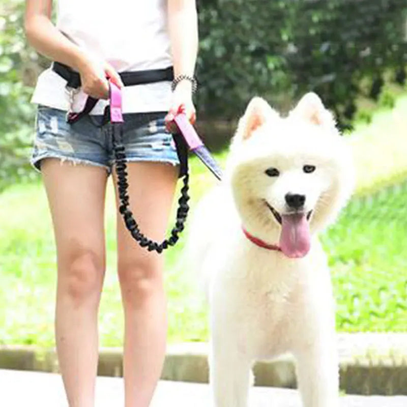 The Active-Glide Hands-Free Dog Leash & Adjustable Waist Belt System