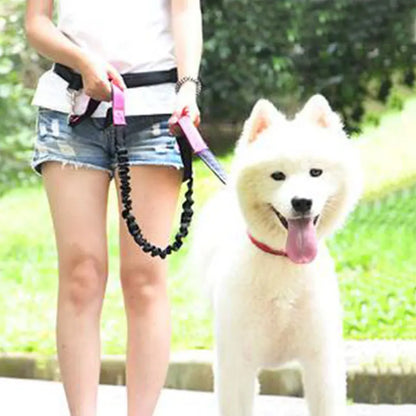 The Active-Glide Hands-Free Dog Leash & Adjustable Waist Belt System Nesta Pets