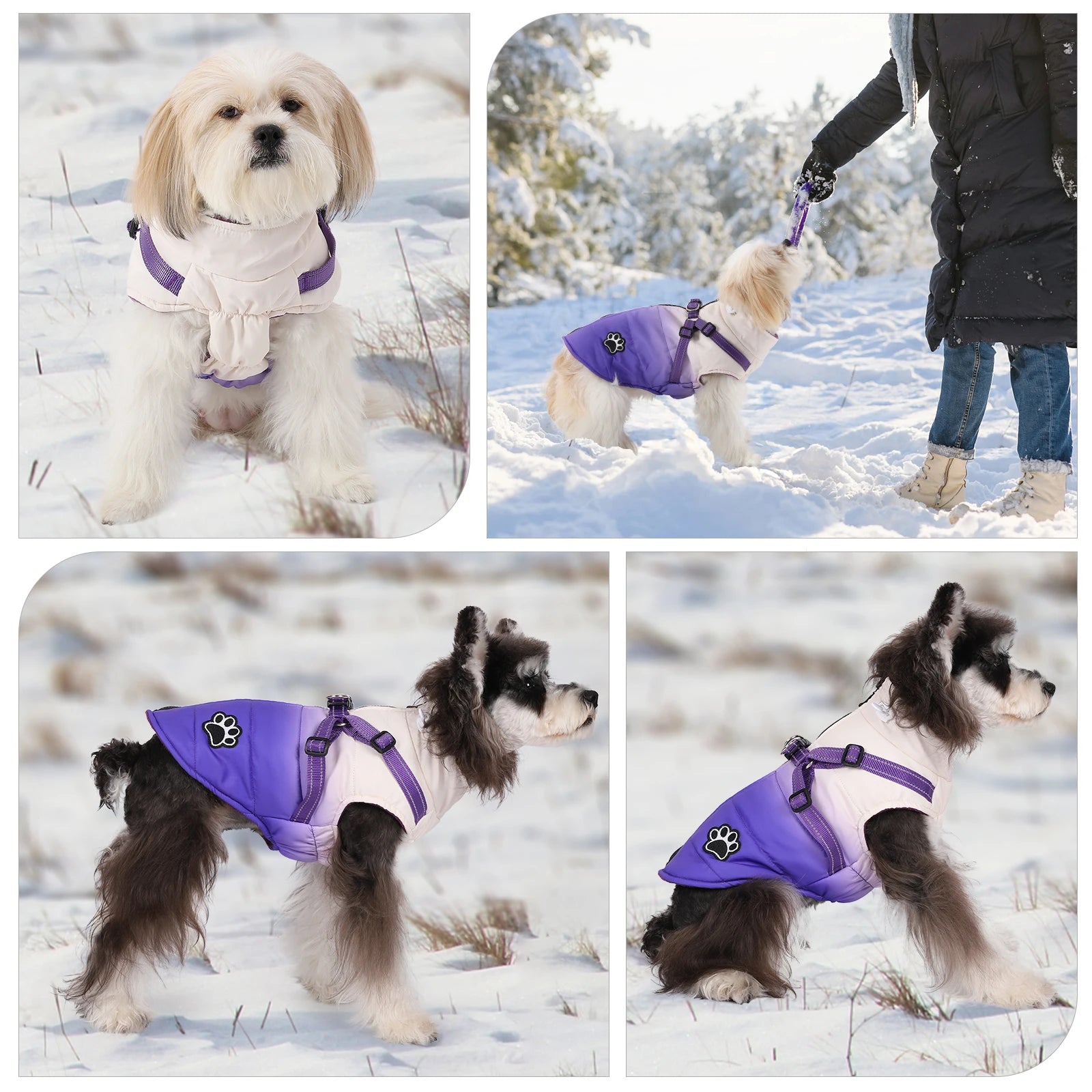 Shield Winter Pet Jacket with Built-In Walking Harness Nesta Pets
