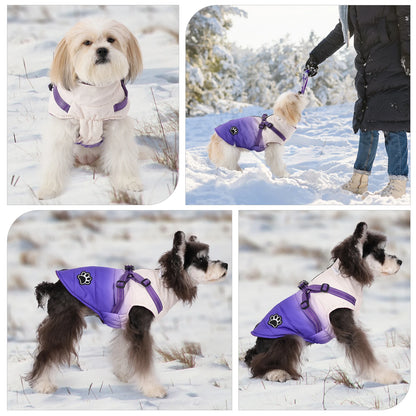 Shield Winter Pet Jacket with Built-In Walking Harness Nesta Pets