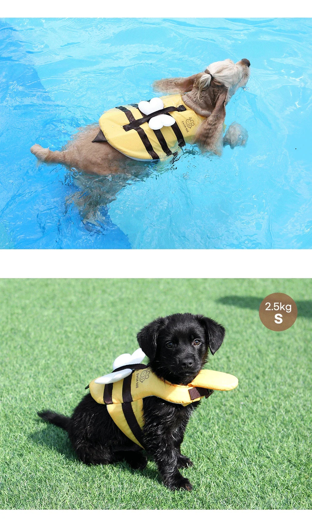 Summer Little Bee Dog Swimsuit Waterproof