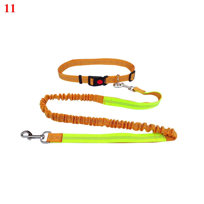 The Active-Glide Hands-Free Dog Leash & Adjustable Waist Belt System