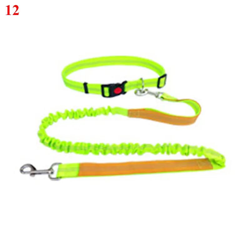 The Active-Glide Hands-Free Dog Leash & Adjustable Waist Belt System