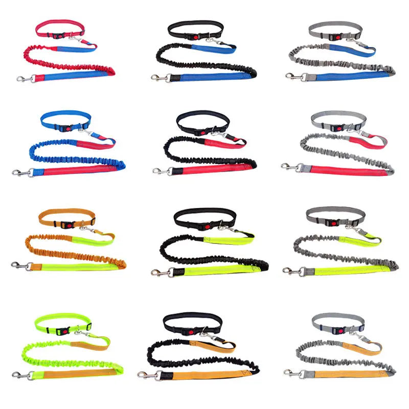 The Active-Glide Hands-Free Dog Leash & Adjustable Waist Belt System