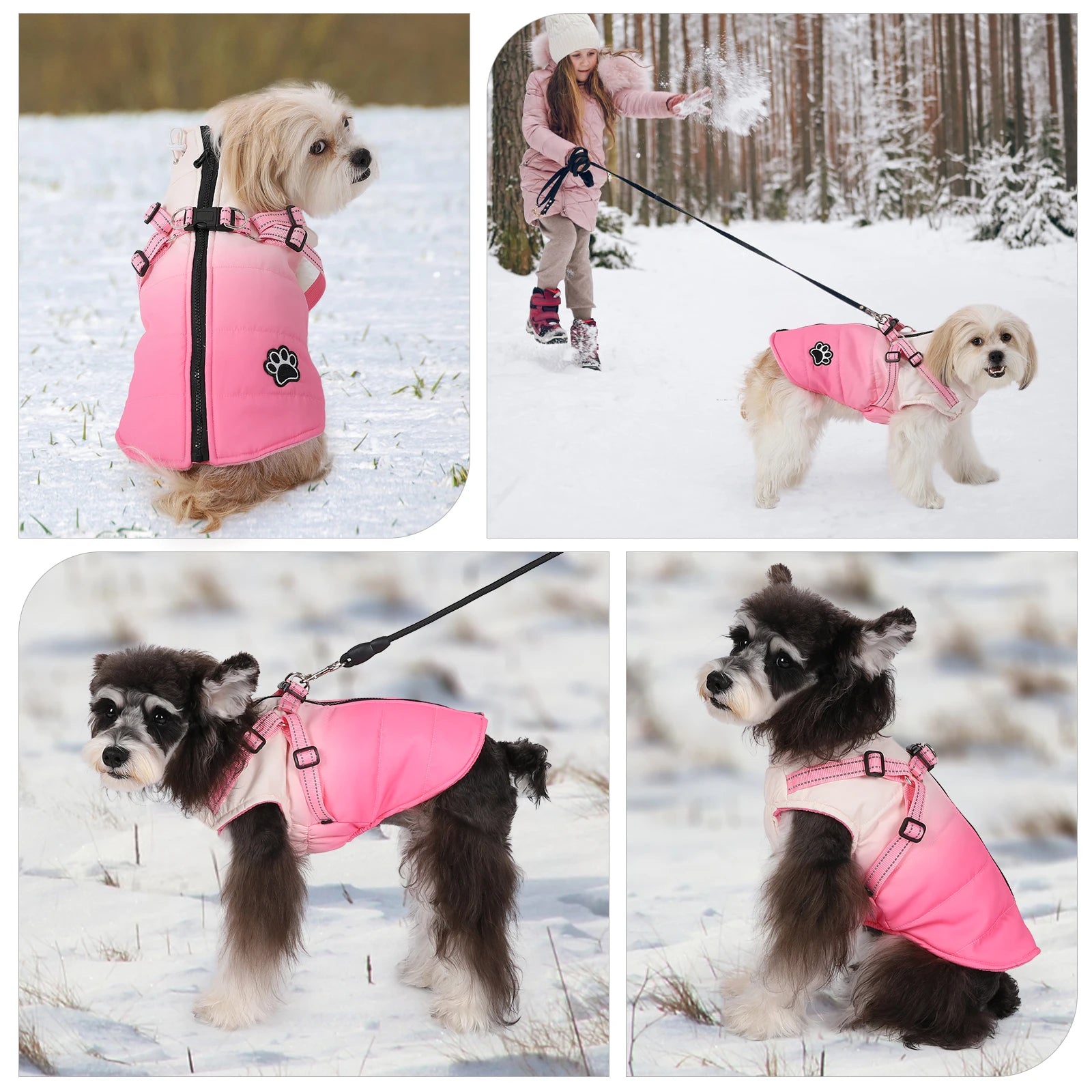Shield Winter Pet Jacket with Built-In Walking Harness Nesta Pets